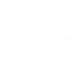 Cracked feather properties logo white